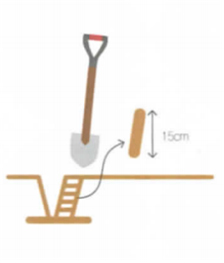 일반 농가의 경우 15cm