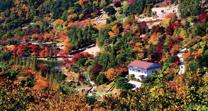 Gyeongsangbuk-do Arboretum